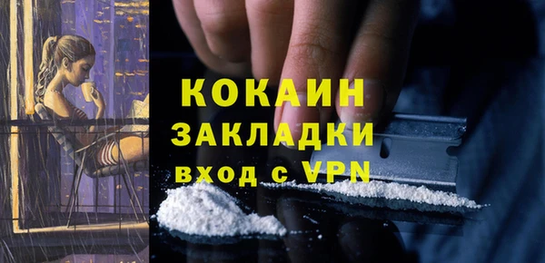 не бодяженный Няндома