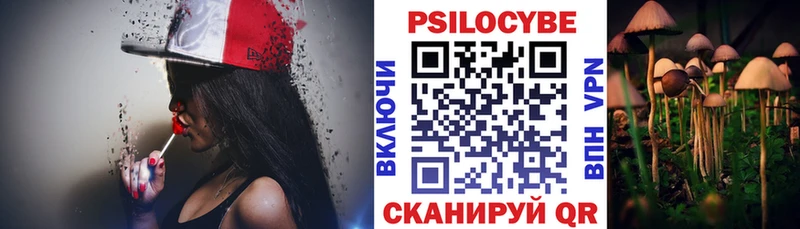 MEGA рабочий сайт Новое Девяткино Псилоцибиновые грибы Psilocybe